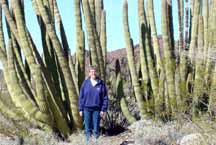 Diana and Organ Pipe Cactus